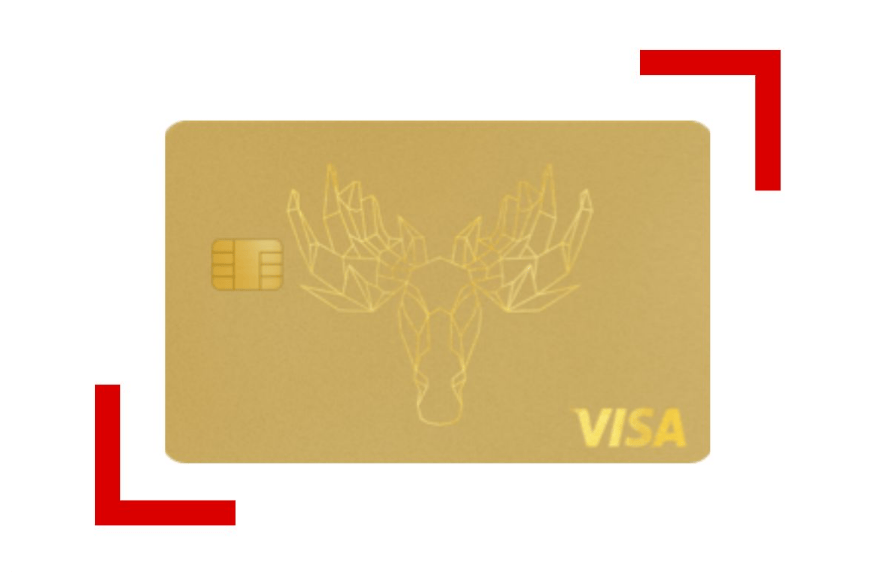 Bank Norwegian Visa